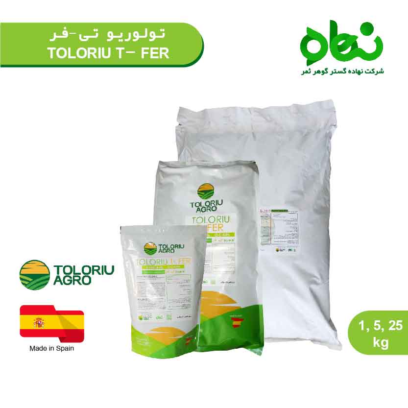 تولوریو تی - فر